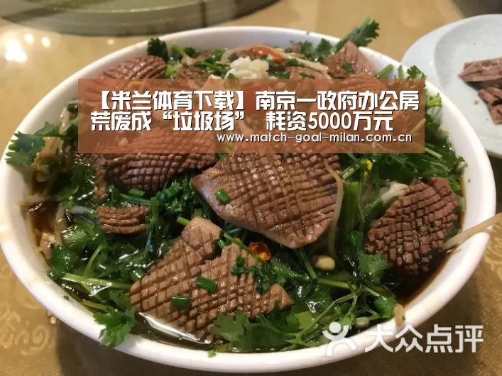 【米兰体育下载】南京一政府办公房荒废成“垃圾场” 耗资5000万元(图1) 米兰体育app