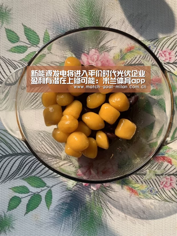 新能源发电将进入平价时代光伏企业盈利有潜在上修可能:米兰体育app(图3) 米兰体育下载