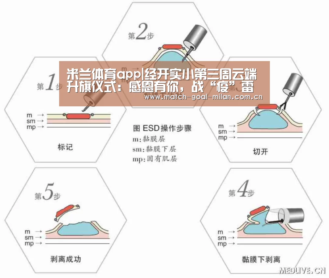 米兰体育app|经开实小第三周云端升旗仪式:感恩有你,战“疫”雷锋(图1) 米兰体育app
